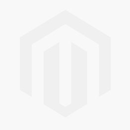 CPI-505 Laboratory pH / Ion Meter